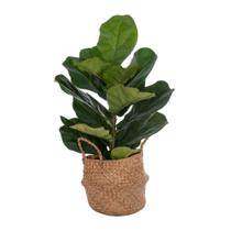 Planta artificial Vickerman Fiddle Leaf Green 27 cm com cesta
