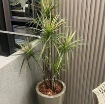 Planta artificial yucca 1 mt 3 galhos sem o vaso Planta artificial yucca 1 mt 3 galhos sem o vaso