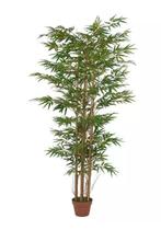 Planta Árvore Artificial Bambu Oriental Verde 1,8m - FLORESCER DECOR