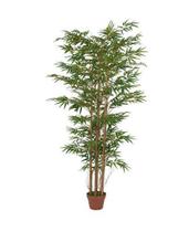 Planta Árvore Artificial Bambu Oriental Verde 1,8m - FLORESCER DECOR