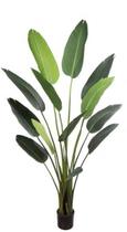 Planta Árvore Artificial Bananeira de Jardim Pu C/Pote X13 Verde 1,8m