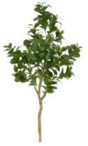 Planta Árvore Artificial Clusia Real Toque X282 Verde 1,2m Planta Árvore Artificial Clusia Real Toque X282 Verde 1,2m