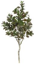 Planta Árvore Artificial Clusia Real Toque X282 Verde Outono 1,2m - FLORESCER DECOR