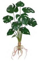 Planta Árvore Artificial Costela de Adão Toque C/Raiz Verde 48cm Planta Árvore Artificial Costela de Adão Toque C/Raiz Verde 48cm