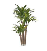 Planta Árvore Artificial Dracena Pau D'água Verde Escuro Real Toque 1,2m Planta Árvore Artificial Dracena Pau D'água Verde Escuro Real Toque 1,2m