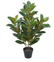 Planta Árvore Artificial Ficus Elástica Real Toque Verde Amarelo 85cm - FLORESCER DECOR
