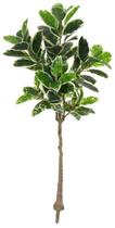 Planta Àrvore Artificial Ficus Elástica Real Toque X82 Verde Creme 1,5m - FLORESCER DECOR