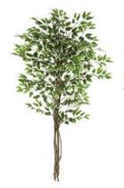 Planta Árvore Artificial Ficus Verde Creme 1,50m
