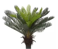 Planta Árvore Artificial Palmeira Cycas Verde 60cm - FLORESCER DECOR