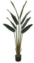 Planta Árvore Artificial Palmeira Viajante Real Toque C/Pote X8 Verde 1,6m Planta Árvore Artificial Palmeira Viajante Real Toque C/Pote X8 Verde 1,6m