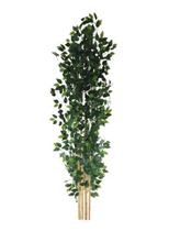Planta Árvore Artificial Real Toque Bambu 2,18M Planta Árvore Artificial Real Toque Bambu 2,18M