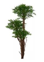 Planta Árvore Artificial Rucos Verde 1,9m - FLORESCER DECOR