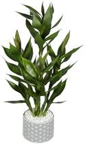 Planta Bambo Bambu da Sorte 7 Galhos Premium 70cm Artificial