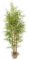 Planta Bamboo da Sorte Luxo 7 Galhos Real Folhas Verde 180cm