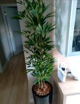 Planta bambu artificial 4 hastes 1 mt/sem o vaso - Toke verde