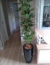 Planta bambu artificial 5 hastes 1 mt/sem o vaso - Toke verde