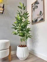 Planta Bambu Da Sorte Artificial Com Vaso Arranjo Completo - Planta Bambu Da Sorte Artificial Com Vaso Arranjo Completo -