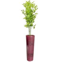 Planta Bambu da Sorte Bambuzinho Completo Vaso Grande Casca