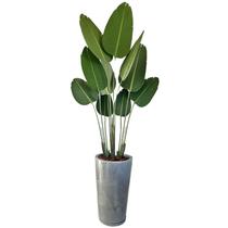 Planta Bananeira Artificial Grande Com Vaso Polietileno