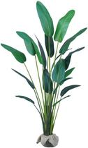 Planta Bananeira Real Grande 3.2m Folhas longa Verde 3D