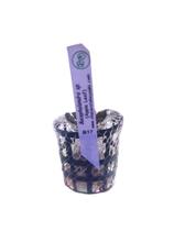 Planta Bucephalandra Sp Apple Leaf Chácara Takeyoshi