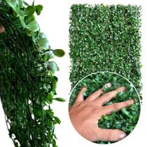 Planta Buchinho Artificial 60x40 Jardim Vertical Realista Planta Buchinho Artificial 60x40 Jardim Vertical Realista
