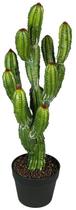 Planta Cacto Castelo de Fada 64cm Com Vaso e Pedras