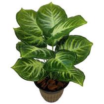 Planta Comigo Ninguém Pode 53cm 12 Folhas Folhagem