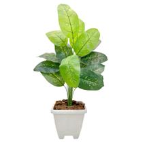 Planta Comigo Ninguém Pode Artificial Com Vaso Completo Planta Comigo Ninguém Pode Artificial Com Vaso Completo