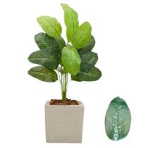 Planta Comigo Ninguem Pode Artificial Vaso Quadrado Completo