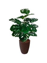 Planta Costela de Adão Arranjo Artificial + Vaso Grande