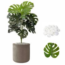 Planta Costela de Adão Artificial + Vaso Bojo e Pedra Casa