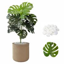 Planta Costela de Adão Artificial + Vaso Bojo e Pedra Casa Planta Costela de Adão Artificial + Vaso Bojo e Pedra Casa