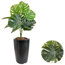 Planta Costela de Adão Com Vaso Cone Liso Decorativo Casa