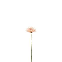 Planta Crisantemo Salmao 40X7X6Cm