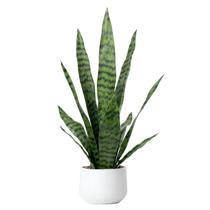 Planta de cobra artificial Bird Fiy Faux Agave Sansevieria 22,5 cm