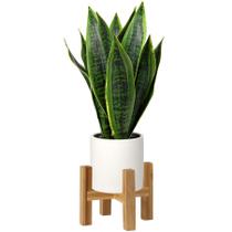 Planta de cobra artificial Briful Fake 40cm com vaso de cerâmica branca