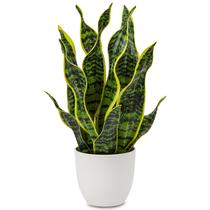 Planta de cobra artificial Hollyone em vaso Sansevieria Trifasciata