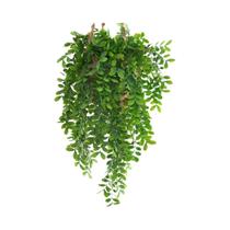 Planta De Hera Artificial, Folha Plástica Para Decoração De Casa E Jardim, Pendurada Na Parede Para