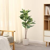 Planta de seringueira artificial FLOWORLD Ficus 110 cm de altura com vaso Planta de seringueira artificial FLOWORLD Ficus 110 cm de altura com vaso