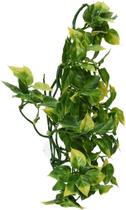 Planta de terrário de plástico Exo Terra Amapalo de tamanho médio Planta de terrário de plástico Exo Terra Amapalo de tamanho médio