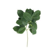 Planta Decorativa Ramo de Ficus Blume 35cm-Tutti Flores- W300162VDE