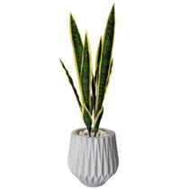 Planta Espada De São Jorge Artificial Com Vaso Origami Pedra