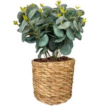 Planta Eucalipto Artificial Com Vaso Palha Completo Arranjo