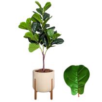 Planta Fícus Artificial Arranjo Completo Vaso Casca Luxo - Planta Fícus Artificial Arranjo Completo Vaso Casca Luxo -