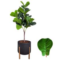 Planta Fícus Artificial Arranjo Completo Vaso Casca Luxo - Planta Fícus Artificial Arranjo Completo Vaso Casca Luxo -