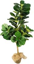 Planta Ficus Lyrata 142cm Realista Verde Planta Ficus Lyrata 142cm Realista Verde