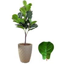 Planta Fícus Lyrata Artificial Arranjo Completo Com Vaso Planta Fícus Lyrata Artificial Arranjo Completo Com Vaso