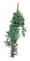 Planta Folhagem Artificial Pendente Muito Realista Folhas de Lambari Decorações Permanentes