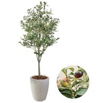 Planta Folhagem Oliveira Artificial Com Vaso Completo Grande Planta Folhagem Oliveira Artificial Com Vaso Completo Grande